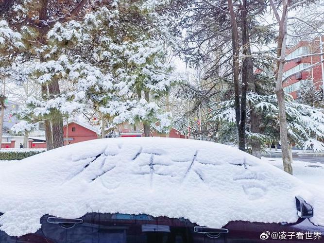 今日科普一下！日本遭十年一遇大雪_2024最新更新